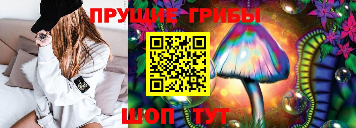 Галлюциногенные грибы прущие грибы  наркотики  Псилоцибиновые грибы GOLDEN TEACHER  Братск  Вход с VPN 