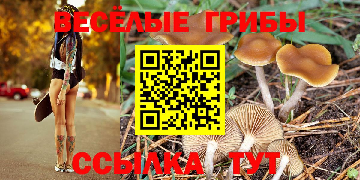 Псилоцибиновые грибы ЛСД Братск